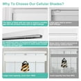 Top Down Bottom Up Light Filtering Cellular Shades,Cordless
