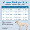 thumbnail image 6 of Supet Ripstop Dog Life Jacket, Durable Pet Flotation Vest with Adjustable Straps and Rescue Handle for Dogs Swimming, Boating and Water Activities, 6 of 8