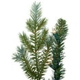 thumbnail image 6 of Northlight Pre-Lit Blue Spruce Artificial Christmas Wreath with Clear Lights, 6 of 8