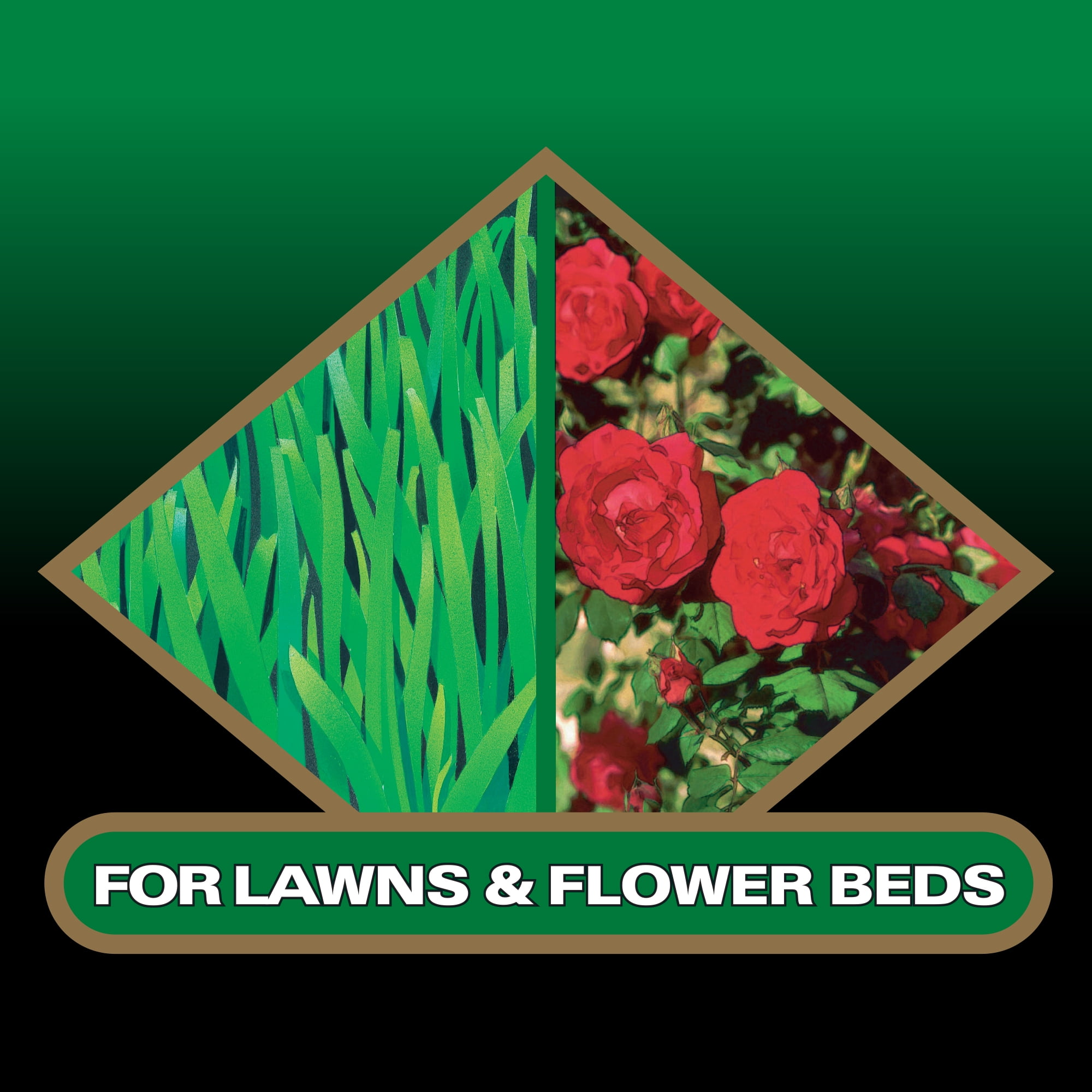Lilly Miller Moss Out! Spot Treater for Lawns & Flower Beds, Herbicide, 3lb. 1 pack