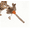 Gray, variant on Cat Feather Toy Kitten Chew Stick for Cleaning Teeth Indoor Kitty Interactive