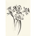 thumbnail image 2 of Rae, Nan 11x14 White Modern Wood Framed Museum Art Print Titled - Ink Wash Floral I - Daffodils, 2 of 4