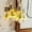 C, variant on Guozer Curtain String Lights for Bedroom 1PCS 1.65M 10LED Snowflakes Shape String Lights for Wedding Decor, Christmas Decor, Dorm Decor
