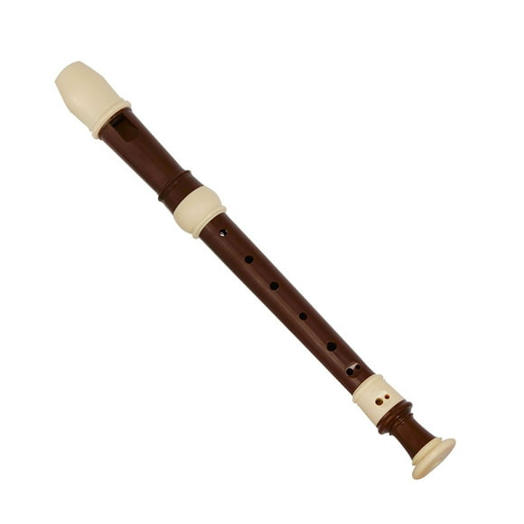 Grabadora IRIN ABS Grabador Descantador Grabadoras de 8 Orificios Estilo Barroco Instrumento Desmontable con Descanso para los Dedos y Bolsa de Transporte Aula Viento Instrumentos Musicales Café IRIN Grabadora