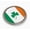 Semi-Flexible Aluminum Bezel, variant on Ireland Flag and Shamrock 3D Domed Round Automotive Emblem