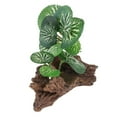 thumbnail image 4 of Adornos Decorativos de Plantas Realistas de Terrario de Resina y Plástico Salvador, 4 of 10