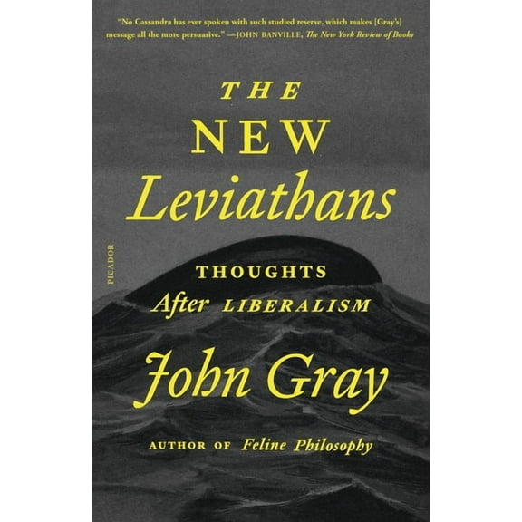 The New Leviathans: Thoughts After Liberalism, (Paperback)