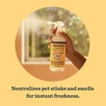thumbnail image 3 of Neutralizador de olores para mascotas MRS. MEYER'S CLEAN DAY Orange Blossom 480 ml, 3 of 9