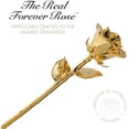 thumbnail image 3 of Forever Rose, a Genuine, One of a Kind, Real Rose, Hand Dipped to Last a Lifetime (24k Gold), 3 of 6
