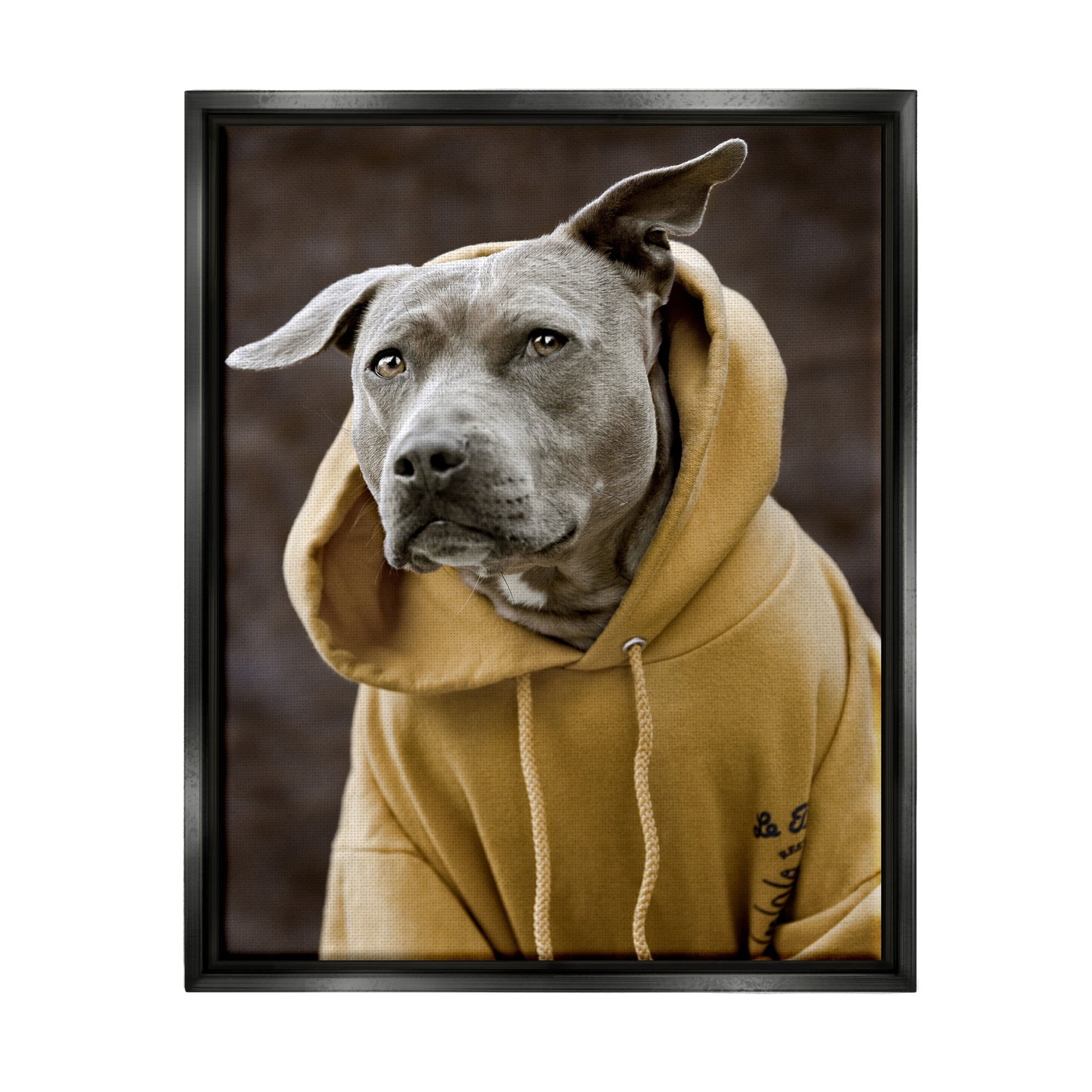 Stupell Industries Smiling Labrador Dog Wearing Hooded Yellow Sweatshirt Photograph Metallic Gold Floating Framed Canvas Print Wall Art, Design by Michael Brian
