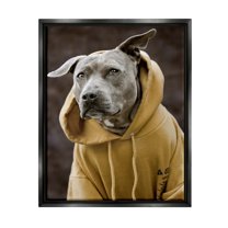 Stupell Industries Smiling Labrador Dog Wearing Hooded Yellow Sweatshirt Photograph Jet Black Floating Framed Canvas Print Wall Art, Design by Michael Brian