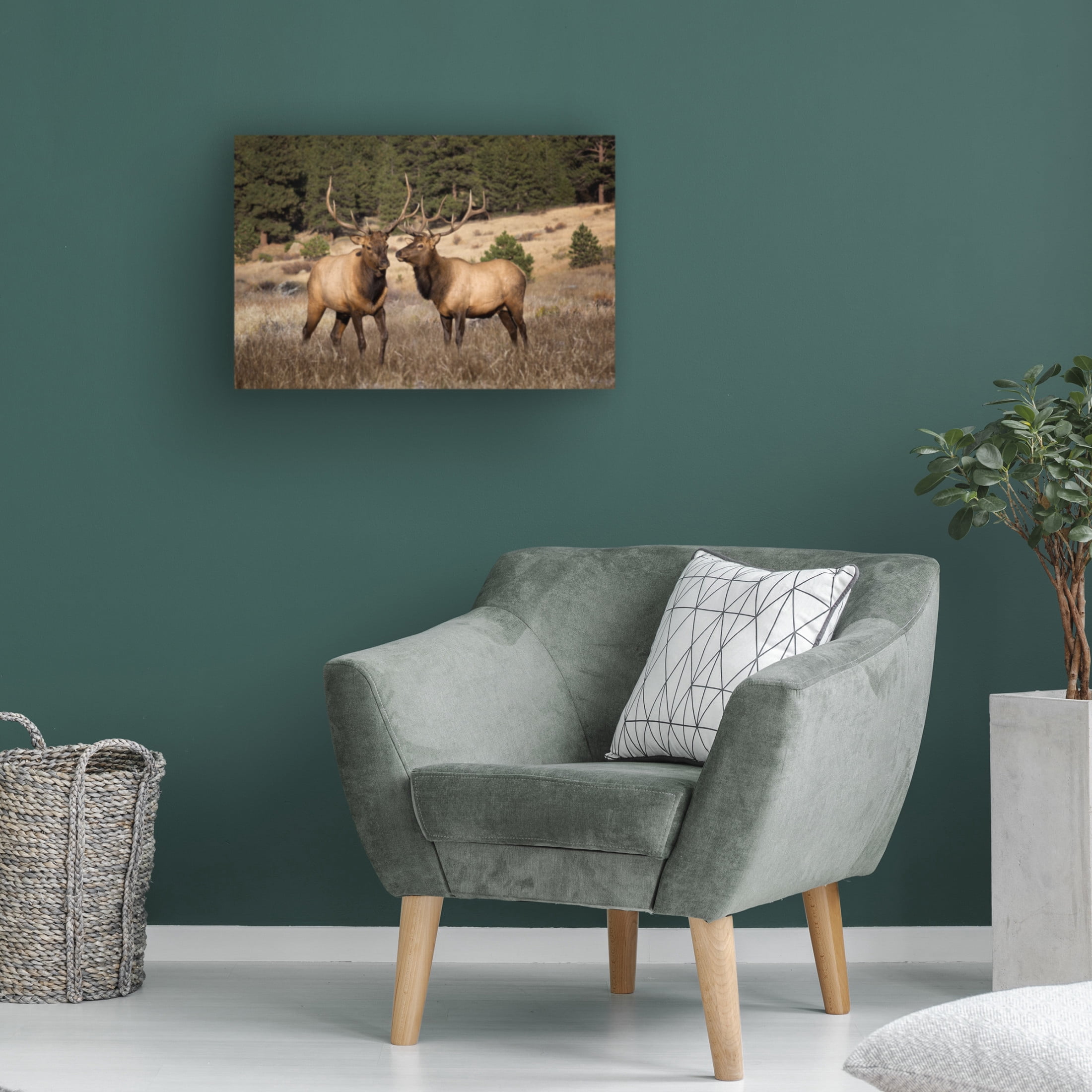 Trademark Fine Art David Drost Two Elks II Canvas Wall Art