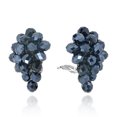 thumbnail image 2 of Midnight Forest Black Crystals Grape Clip On Earrings, 2 of 5