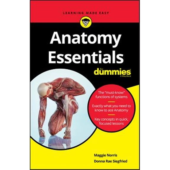 Pre-Owned Anatomy Essentials for Dummies (Paperback) 1119590159 9781119590156