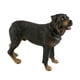 thumbnail image 3 of Estatua de perro cachorro de pie, figura decorativa duradera y muy detallada para escritorio. rottweiler, 3 of 9