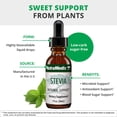 thumbnail image 4 of Gotas de extracto líquido de hoja de stevia NutraMedix Stevia 30 ml, 4 of 8