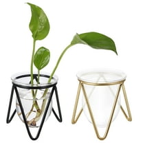 CTIRCHIU Clear Glass Planter Vase with Metal Stand for Home Decor 2Pcs