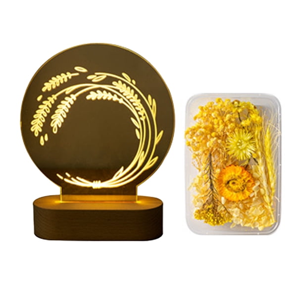 Cateissary Lámpara de noche, mesita de noche, flores prensadas acrílicas, mesita de noche, de centro, luz nocturna, protección ocular, carga USB, Iluminación y accesorios Amarillo Cateissary HA011273-02B