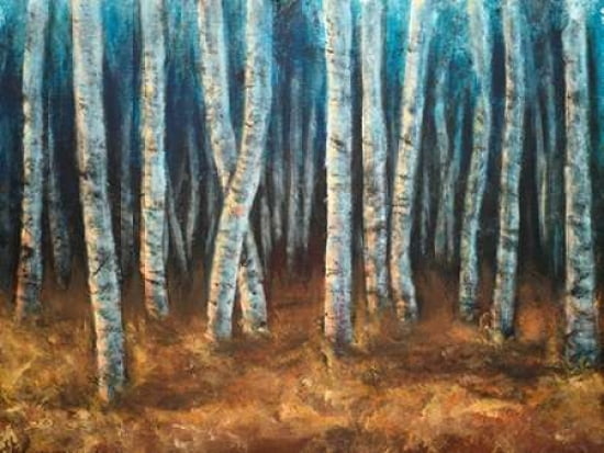 Moonlit Birchwood C