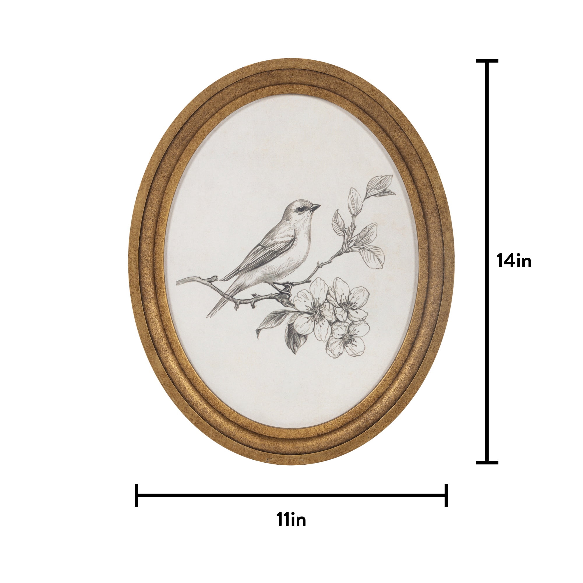 My Texas House Bird Sketch Round Embossed Textured Framed Antique Canvas Art 11x14