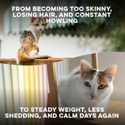 BestLife4Pets Cat Weight Gain & Hyperthyroidism - Safe and Effective Cat Appetite Stimulant, Thyroid and Metabolic Support