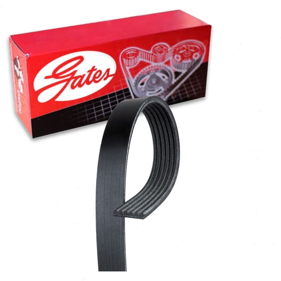 Gates Micro-V Serpentine Belt compatible with Volkswagen Passat CC 3.6L V6 2009-2012