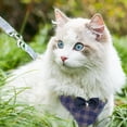 thumbnail image 5 of Feelers Pet Cat Dog Harness and Leash for Walking, Soft Adjustable Vest Harnesses, Grid, Blue, 5 of 5