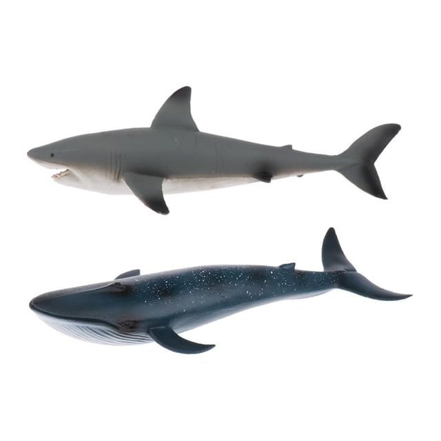 2 Piezas de de Acción de Animales de Ballena Realistas Modelos Juguetes para CUTICAT Juguete de figuras de animales