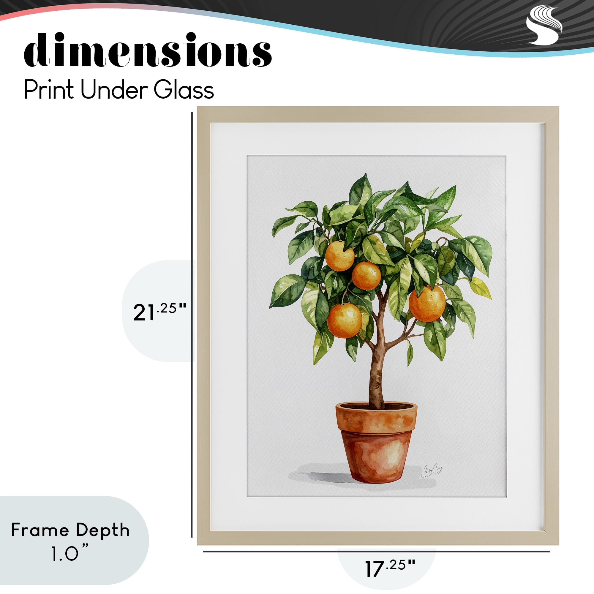 Stupell Industries Potted Orange Tree Birch Framed Print Under Glass, design by Shelly Craig