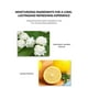 thumbnail image 5 of Polvo Fijador Mate | Control de Grasa y Corrector | Acabado en Bruma Ligera No Removible | Difumina Texturas, Líneas Finas y Enrojecimiento | Control de Brillo Duradero de 12 horas | Peso Neto 10g, 5 of 9