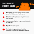 thumbnail image 6 of Mosalogic Mouse & Insect Trap, Large Bulk Glue Rat, Snake and Spider Traps, Pre-Scented Adhesive Plastic Tray for Inside House & Garage, Pet Safe Pest Control, 6-Pack, 6 of 9