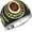Two-Tone No Engraving, variant on Untamed Pack Marines Ring-Polished Steel, Black or Gold Plating