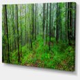 thumbnail image 2 of Forêt Sauvage Verte avec Arbres Denses - Impression sur Toile de Forêt, 2 of 3