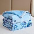 thumbnail image 2 of JML Thick Warm Winter Fleece Blanket For King Bed 2 Ply Reversible Soft Raschel Blanket,87"x94",10.5lb, Light Blue Floral, 2 of 8