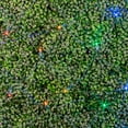 thumbnail image 4 of Novelty Lights 100 Light Multicolor LED Christmas Net Lights Christmas Decorations Green Wire 4' X 6', 4 of 4