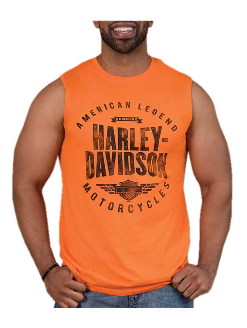 Harley-Davidson Mens Distressed 
