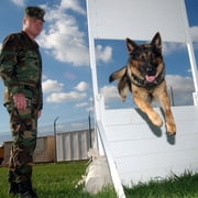 PATPET Military 4300ft Remote Dog Training Shock Collar