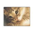 thumbnail image 3 of CADecor The Cat With Its Paws Fleece Throw Blanket 58x80 inches, 3 of 3