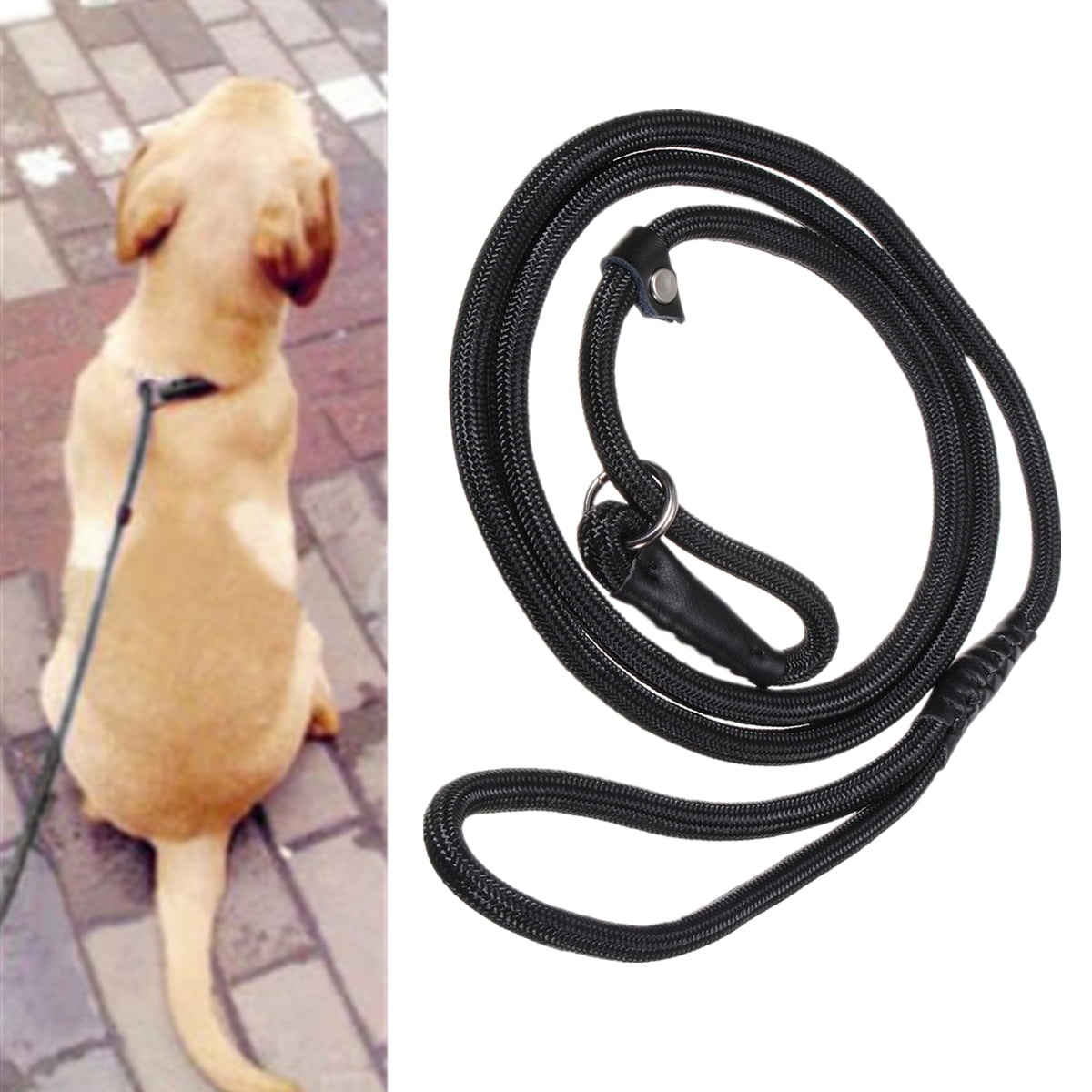 Dog Leash 59" Sturdy Nylon PUPPY Rope Pet Training Slip Lead Strap Collar Walmart Canada