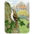 thumbnail image 1 of Carolines Treasures ASA2099LCB Treecreeper Glass Cutting Board- Large, 1 of 1