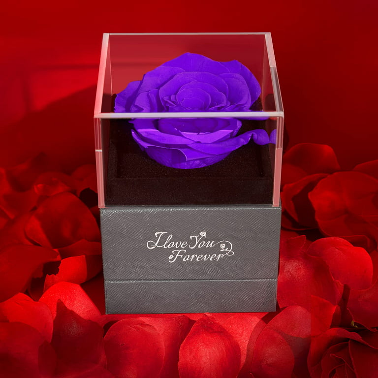 purple roses !!!! Te Amo  Purple roses, Personalized monogram, Purple
