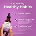 thumbnail image 5 of MaryRuth Organics Elderberry Syrup Immune Drops for Toddlers Ages 1 to 3, Vegan, Dairy-Free, Gluten-Free, 1 fl oz, 5 of 11