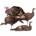 thumbnail image 2 of Dave Smith Decoys Turkey Flock, 2 of 4