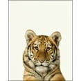 thumbnail image 2 of Baby Zoo Tiger - Nursery Wall Décor Farm Baby Animal Art Print, 2 of 2