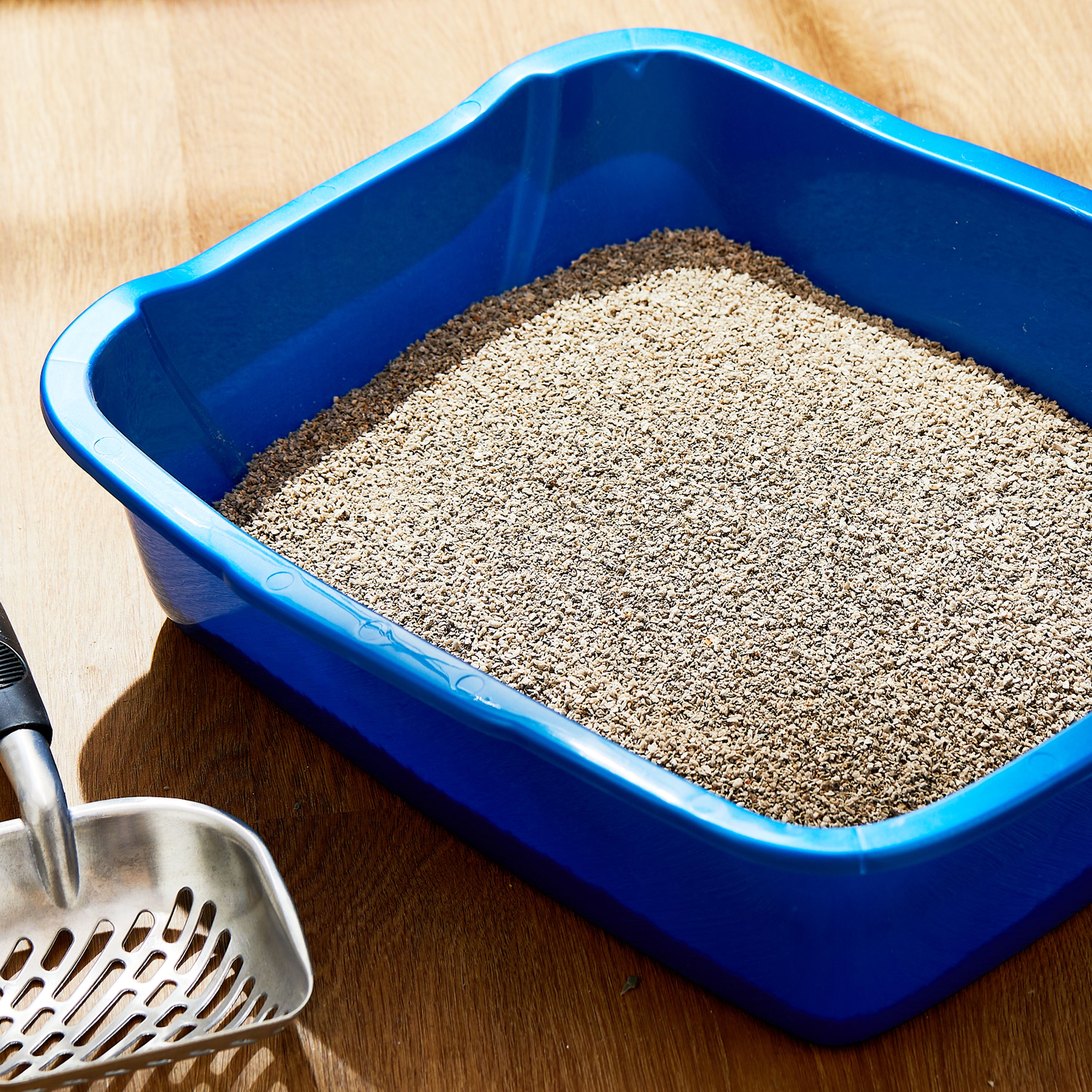 (3 pack) Special Kitty Lightweight Fresh Scent Clumping Cat Litter 8.5 lb Stand Up Bag