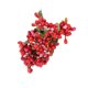 thumbnail image 3 of Cateissary Craft Mixed Red Artificial Flower Cherry Stamen Berries Bundle DIY Christmas Wedding Cake Caja de regalo Decoración Flores artificiales Tipo9 10 piezas Cateissary HA002022-09, 3 of 5