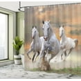 thumbnail image 5 of Ambesonne Horses Shower Curtain, Sky, 69"Wx84"L, White Orange, 5 of 5