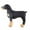 Black, variant on Pets Dog Left Rear Leg Support Brace Operation Recovery Safety Sleeve Wrap USA