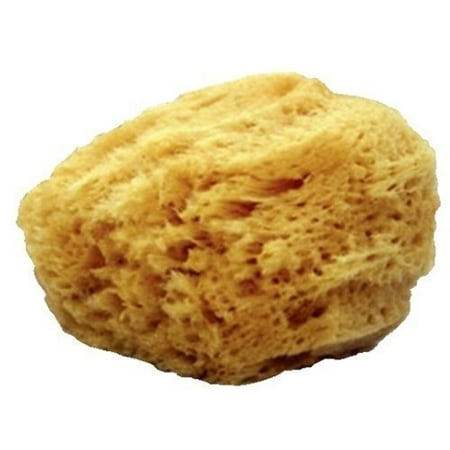 Mehron Sponge - Natural Sea (Best Makeup Sponges In India)