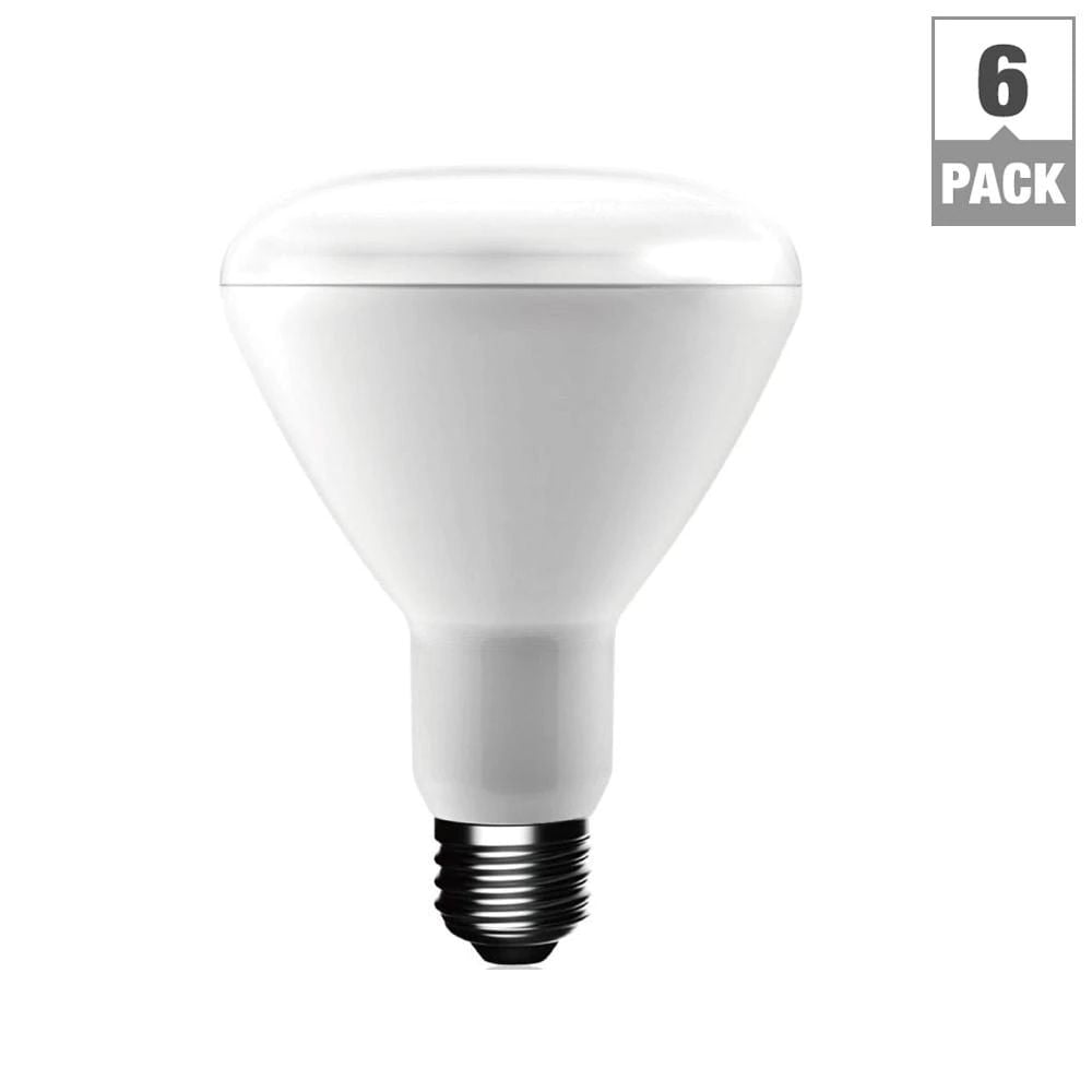 6-Pack EcoSmart 65W Equivalent Daylight 5000K BR30 CFL Light Bulb 